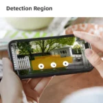 Detection Region