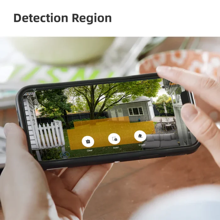 Detection Region